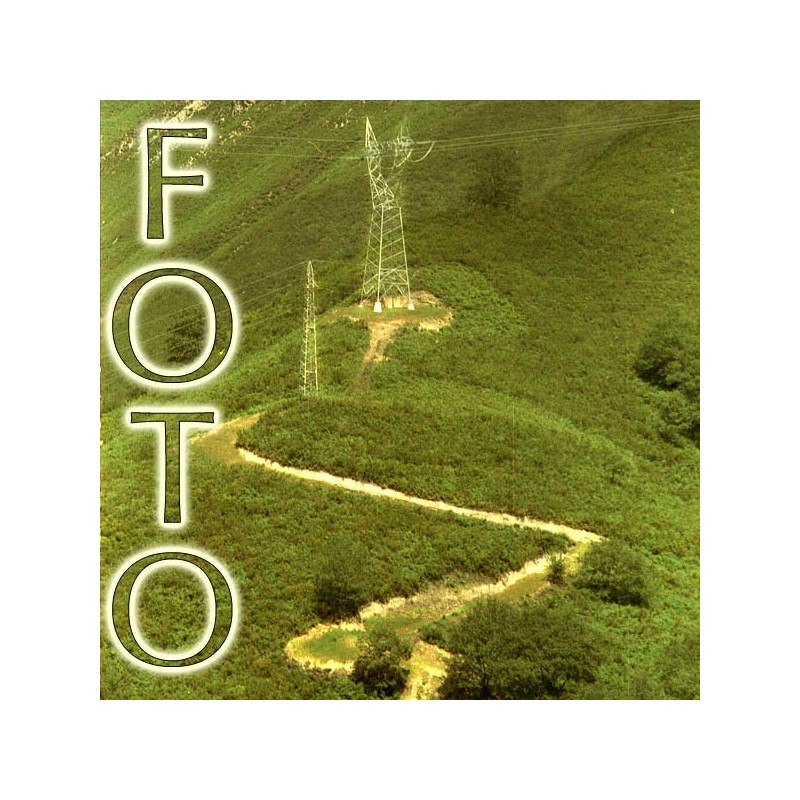 20x25 Mate lustre Fuji 240 20x25 Mate lustre Fuji 240